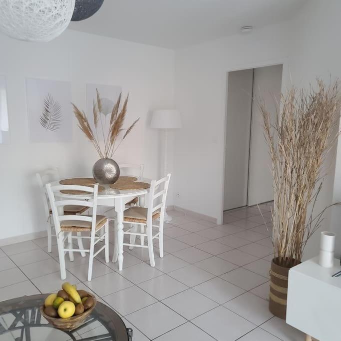 Appartement 63 M2, Tout Confort, Climatise. Saint-Cyprien  Dış mekan fotoğraf